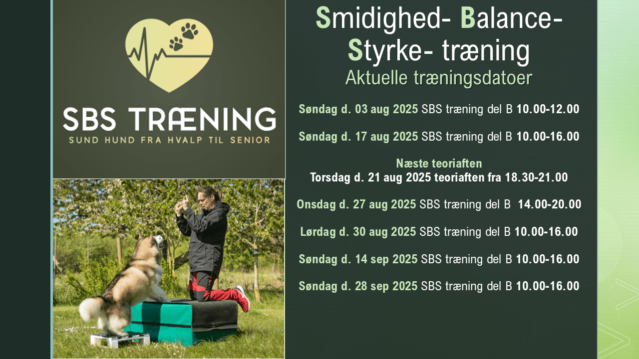 temaaften_sbstraening_coretraening